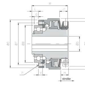 DSS-SG-RF